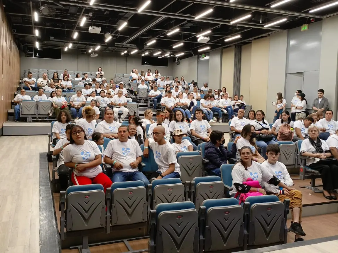 Fundación FIP - galería de trabajo