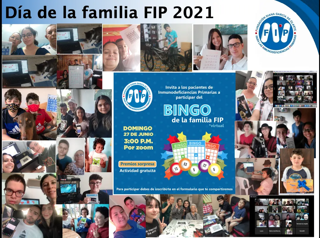 Fundación FIP - galería de trabajo