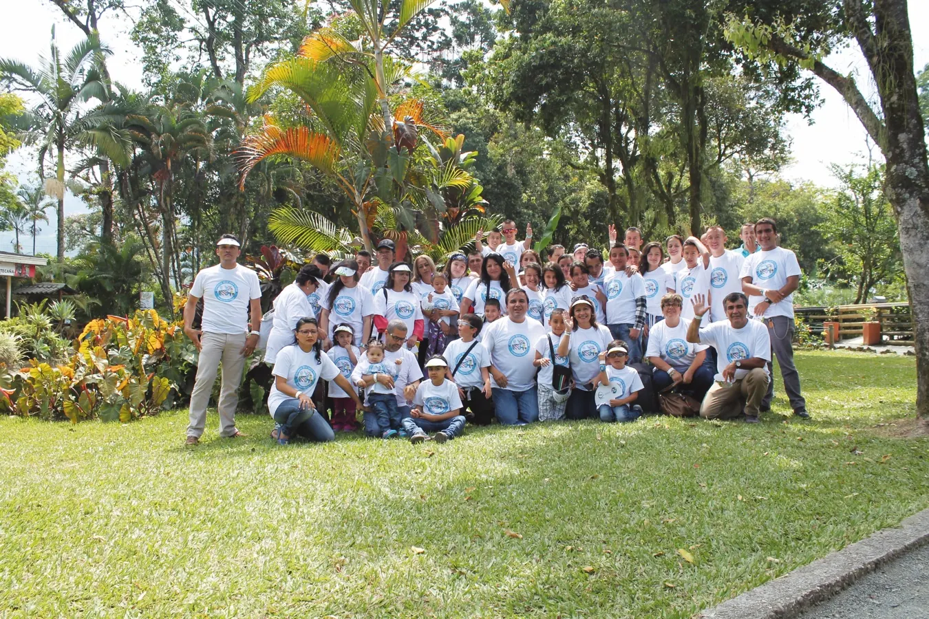 Fundación FIP - galería de trabajo
